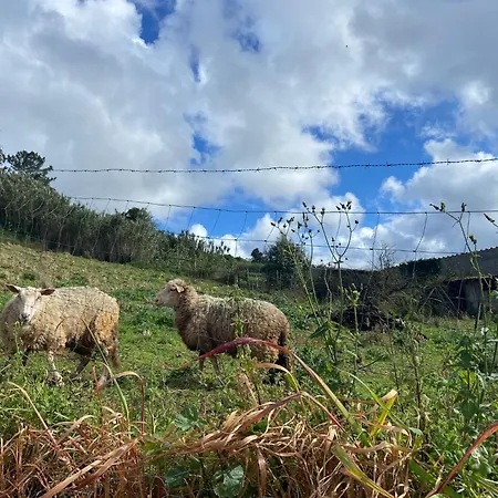 בית נופש Canto Celeste אלקובאקה