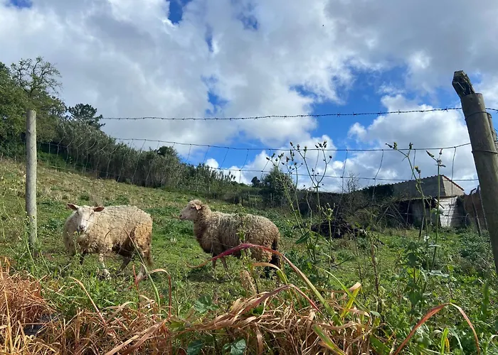 Feriehus Canto Celeste Alcobaça